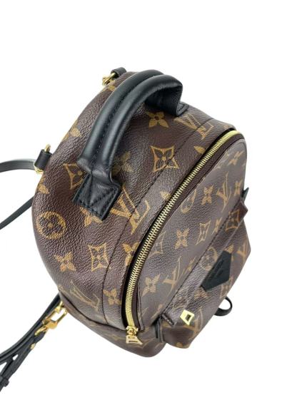 LOUIS VUITTON - Monogram Canvas Palm Springs Mini Backpack