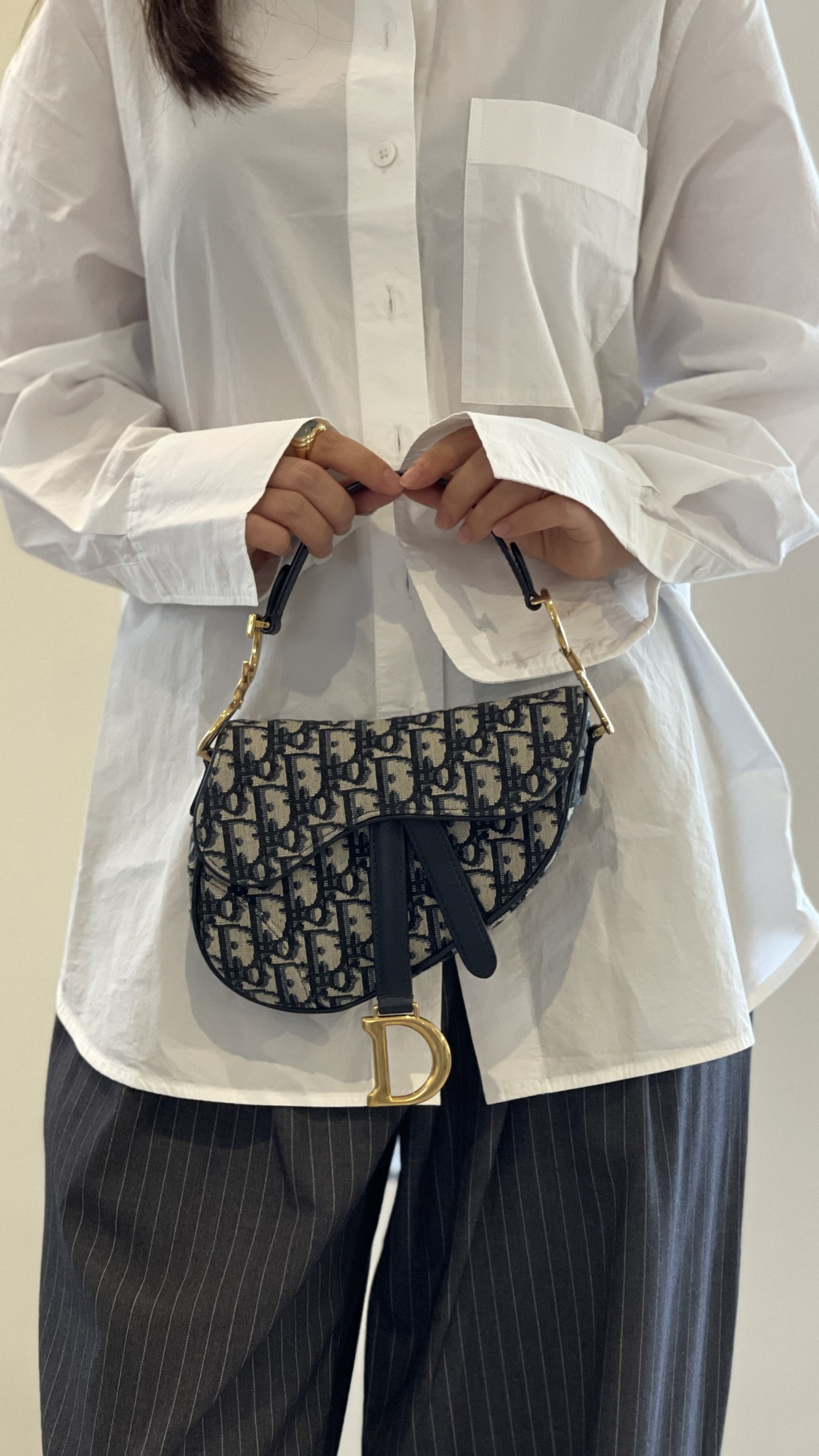 DIOR - 2018 Blue Trotter Saddle Handbag
