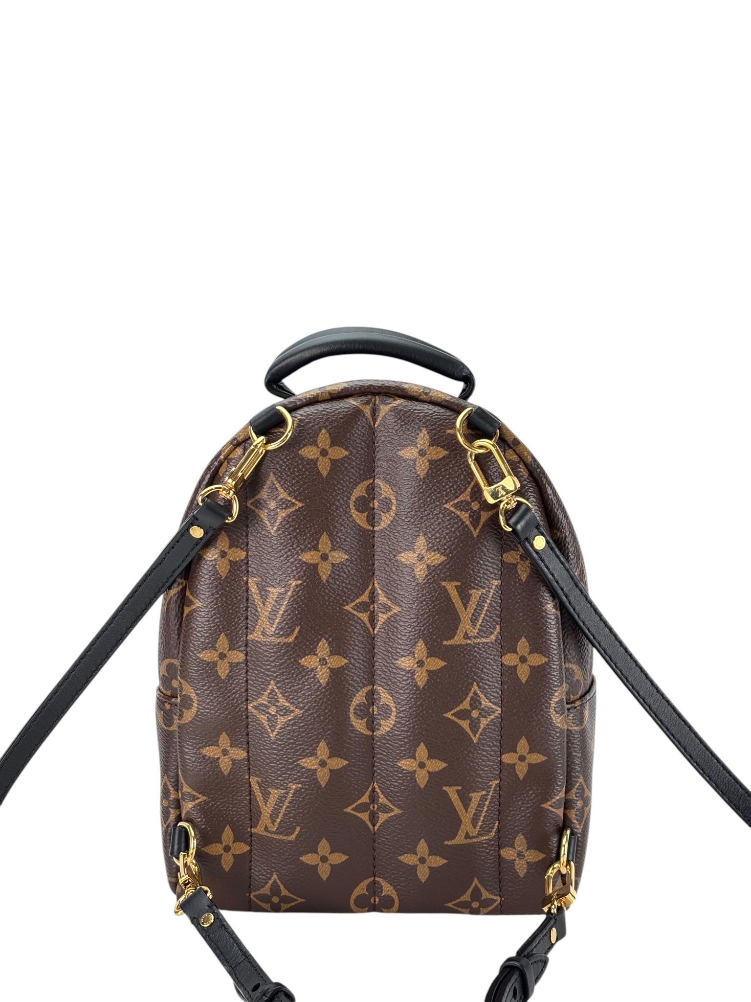 LOUIS VUITTON - Monogram Canvas Palm Springs Mini Backpack