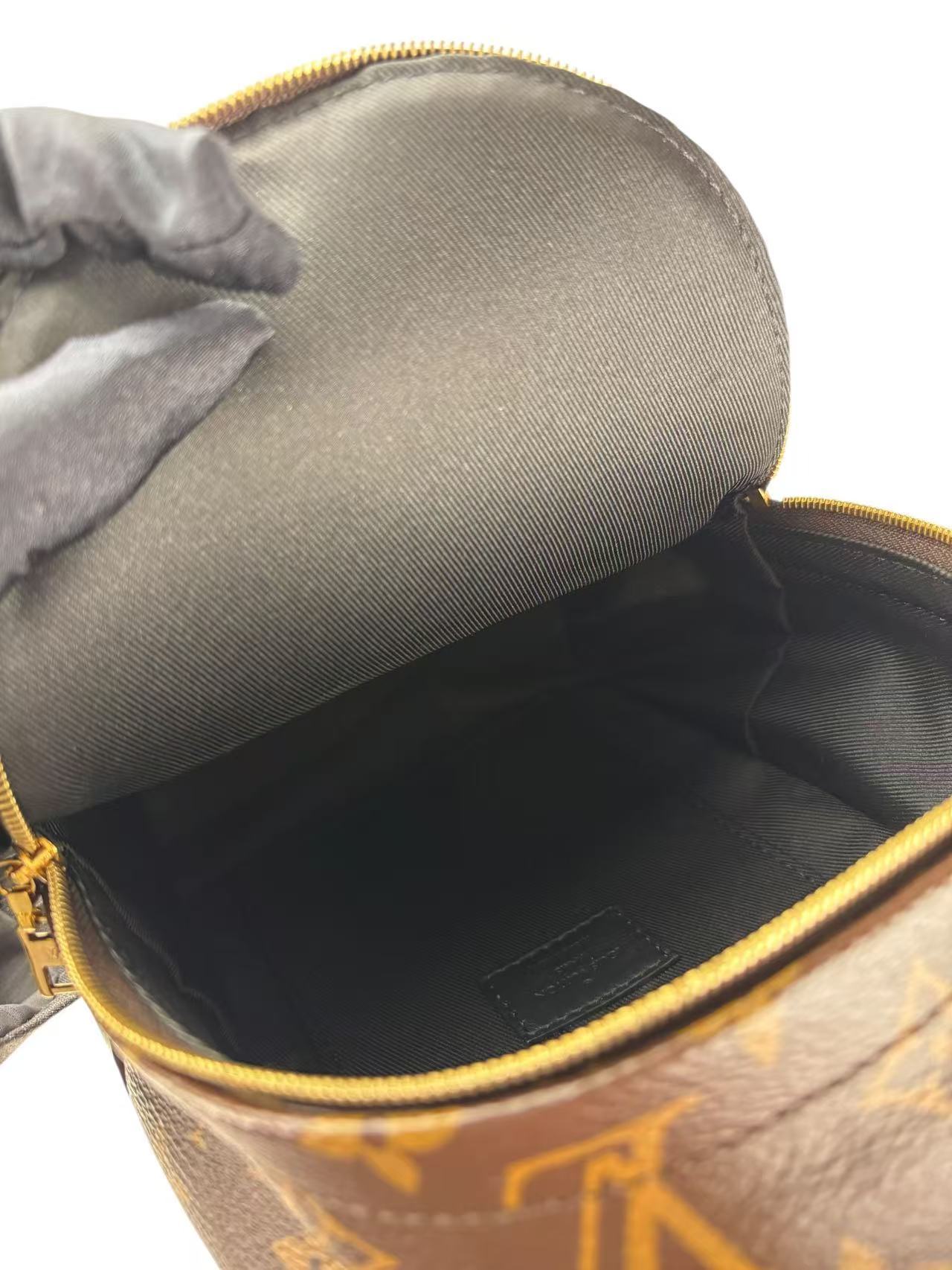 LOUIS VUITTON - Monogram Canvas Palm Springs Mini Backpack