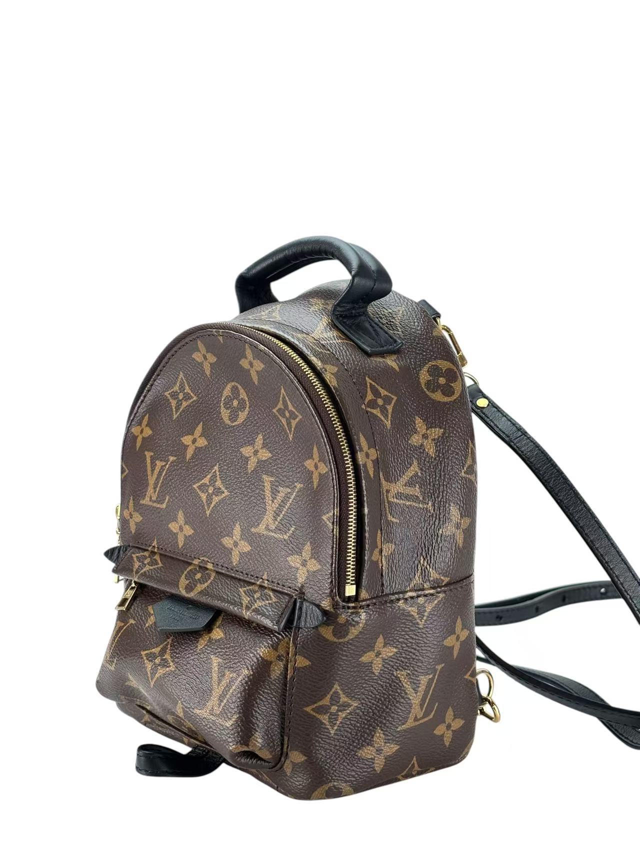 LOUIS VUITTON - Monogram Canvas Palm Springs Mini Backpack
