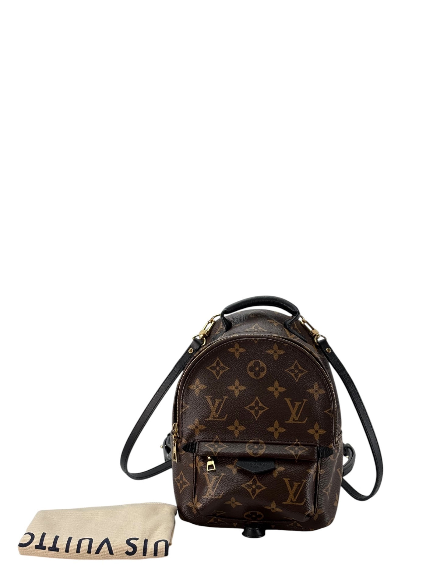 LOUIS VUITTON - Monogram Canvas Palm Springs Mini Backpack