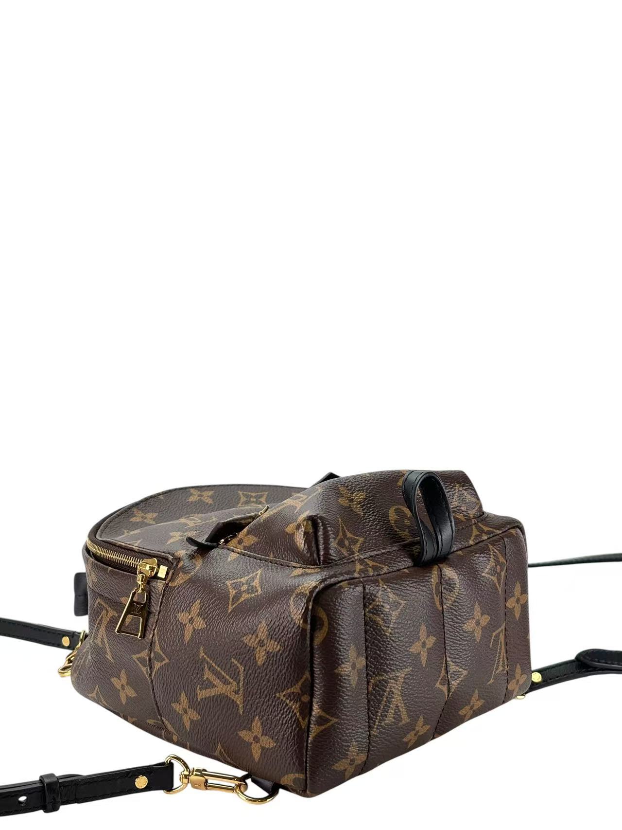 LOUIS VUITTON - Monogram Canvas Palm Springs Mini Backpack