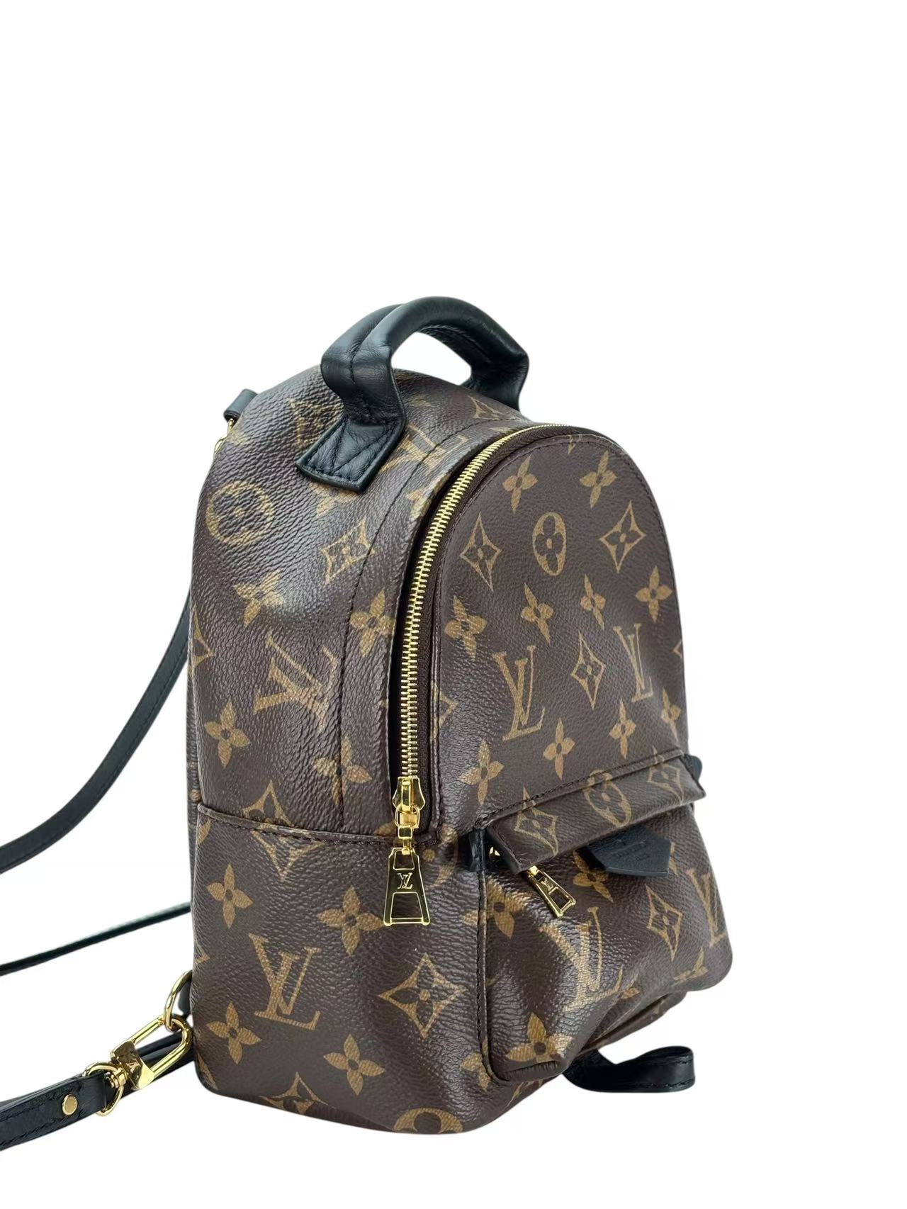 LOUIS VUITTON - Monogram Canvas Palm Springs Mini Backpack