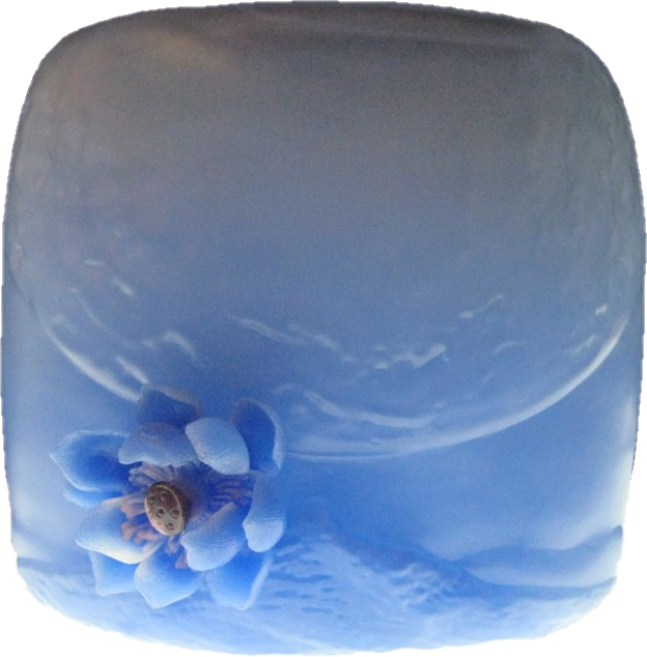 Silent Within Fire - Lotus