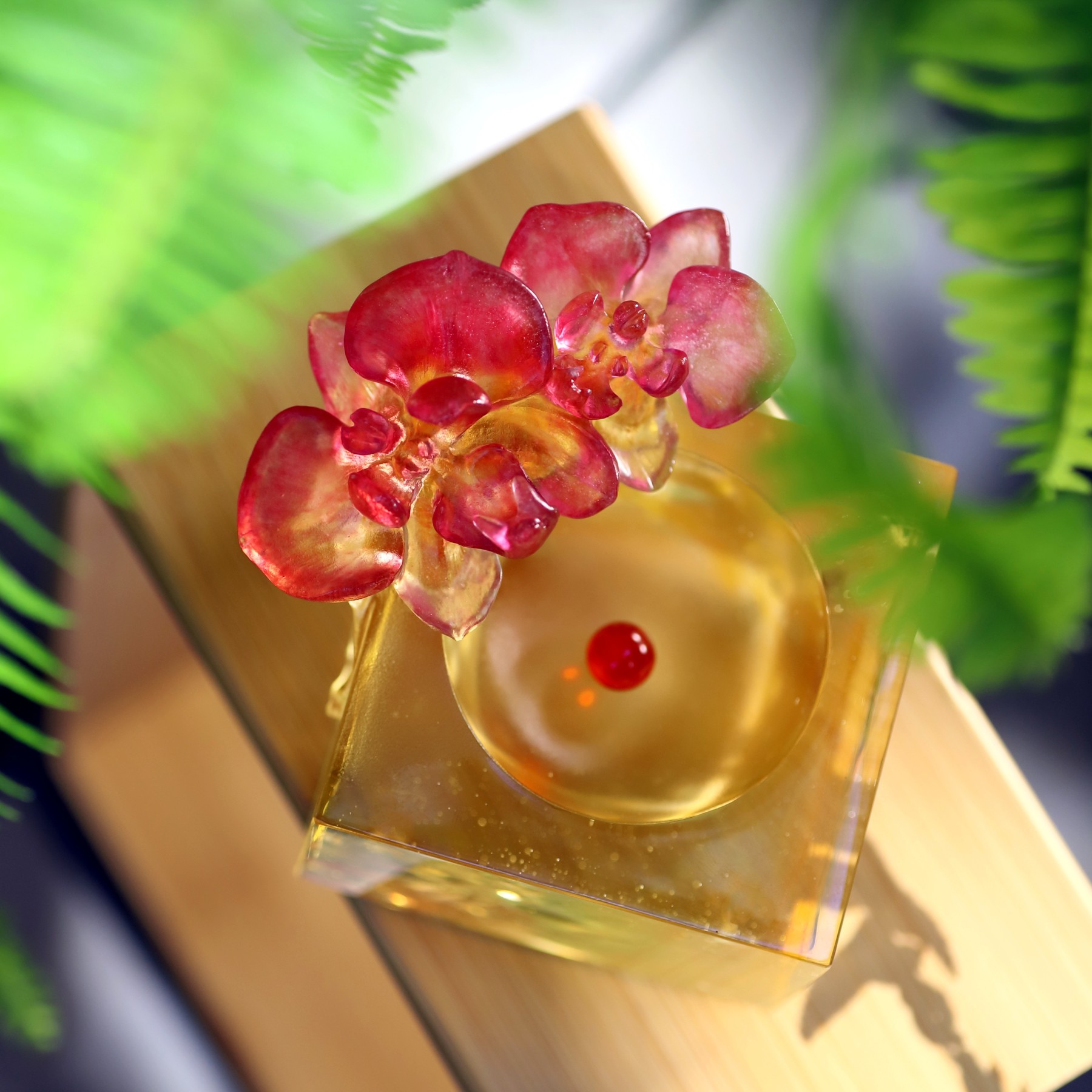 Crystal Flower, Moth Orchid, Red Radiance