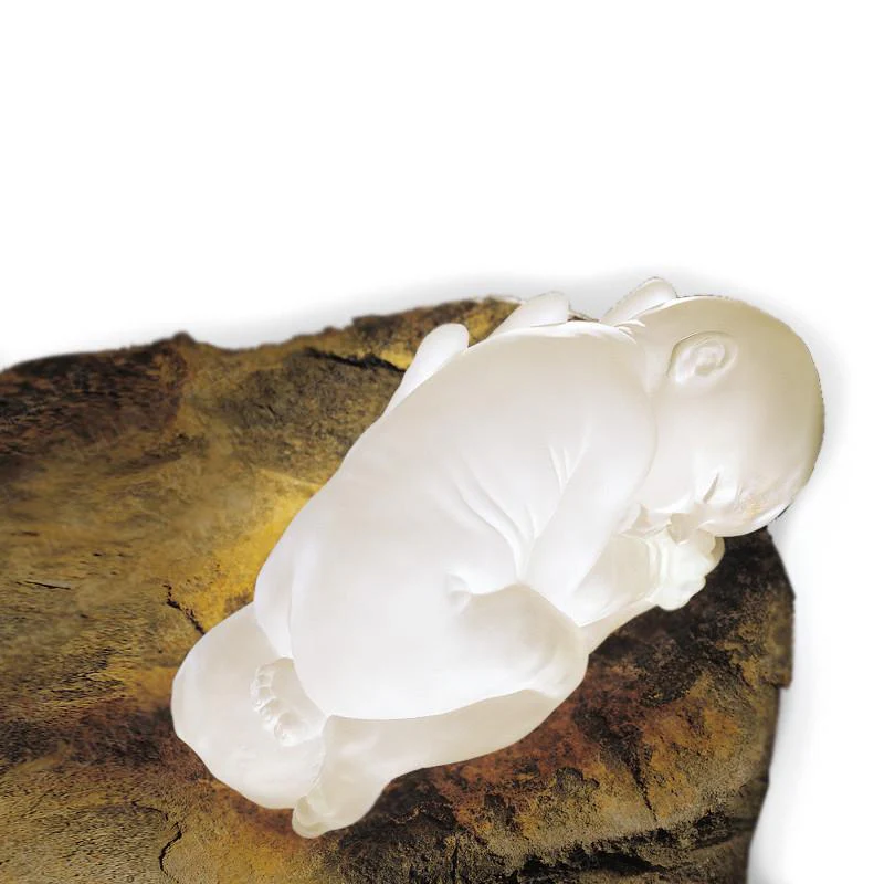 LIULI Crystal Baby Doll Figurine, A Great Wish (Special Edition)