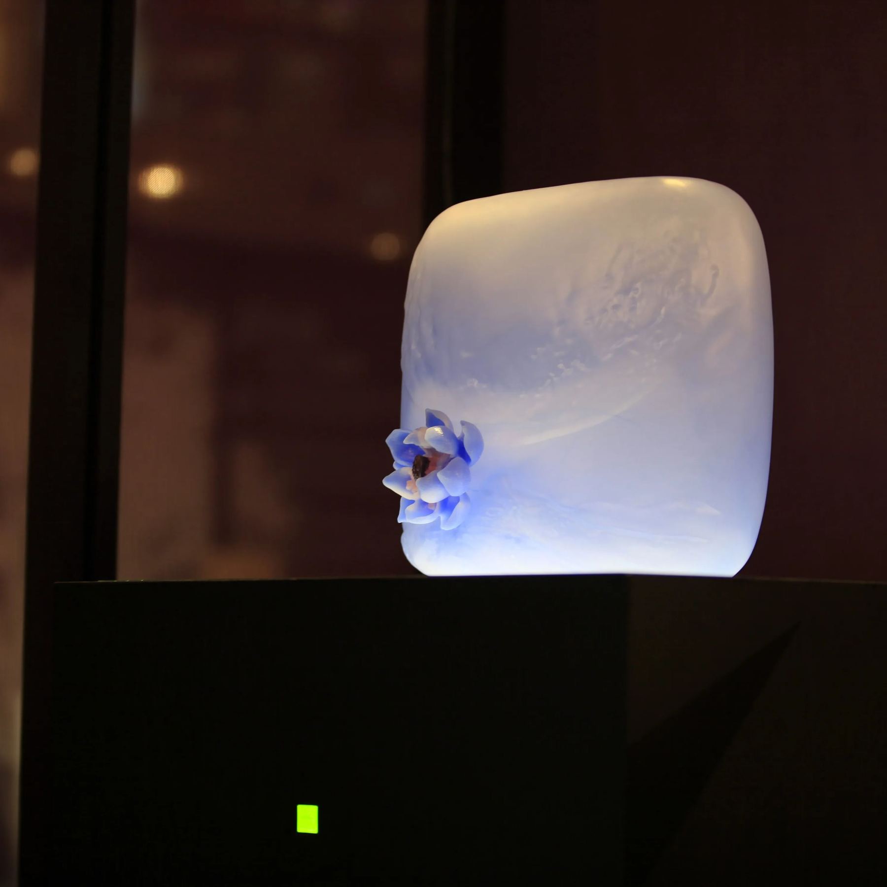 Silent Within Fire - Lotus