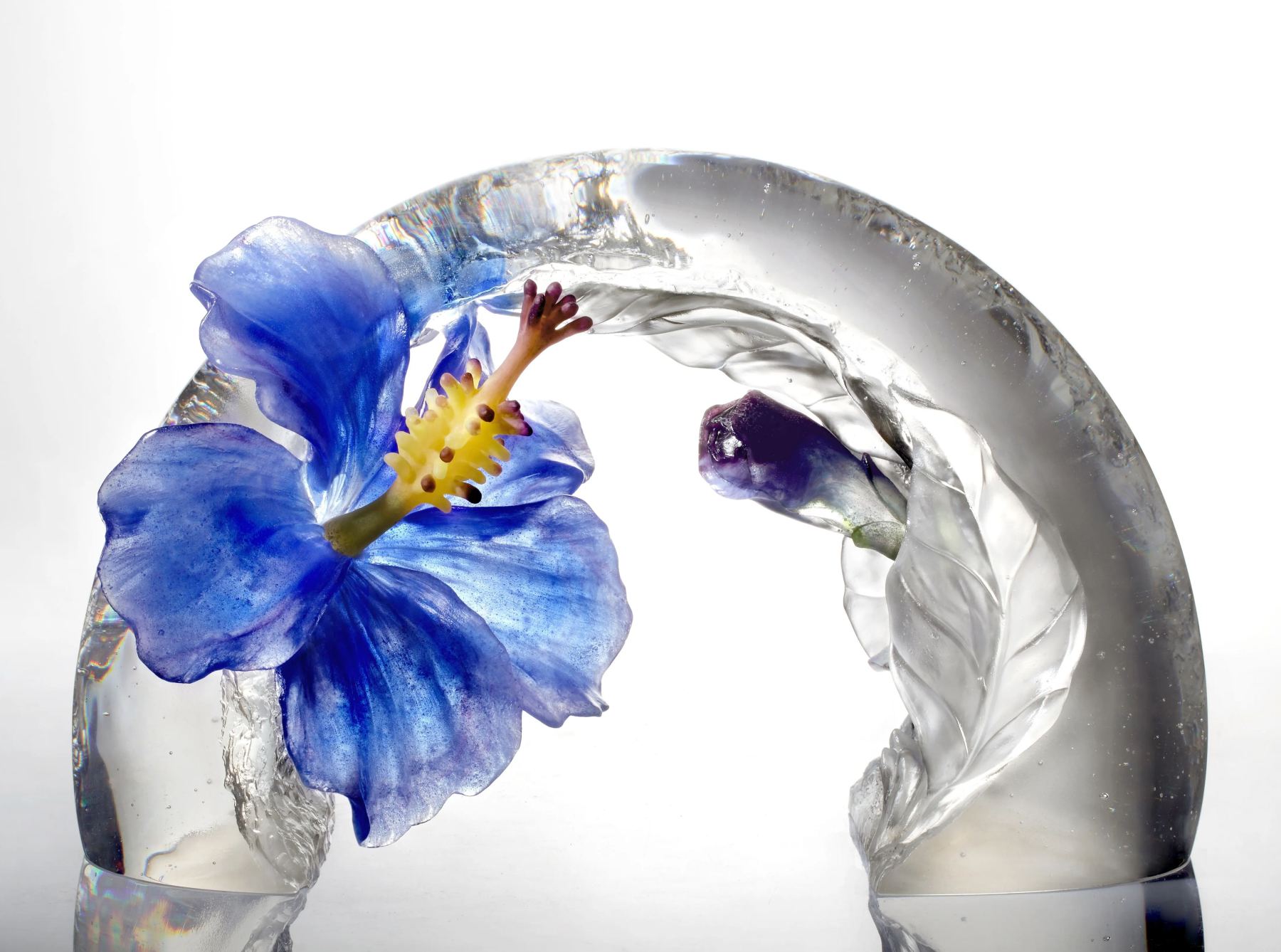 Crystal Flower, Hibiscus, Song of the Morning Flower