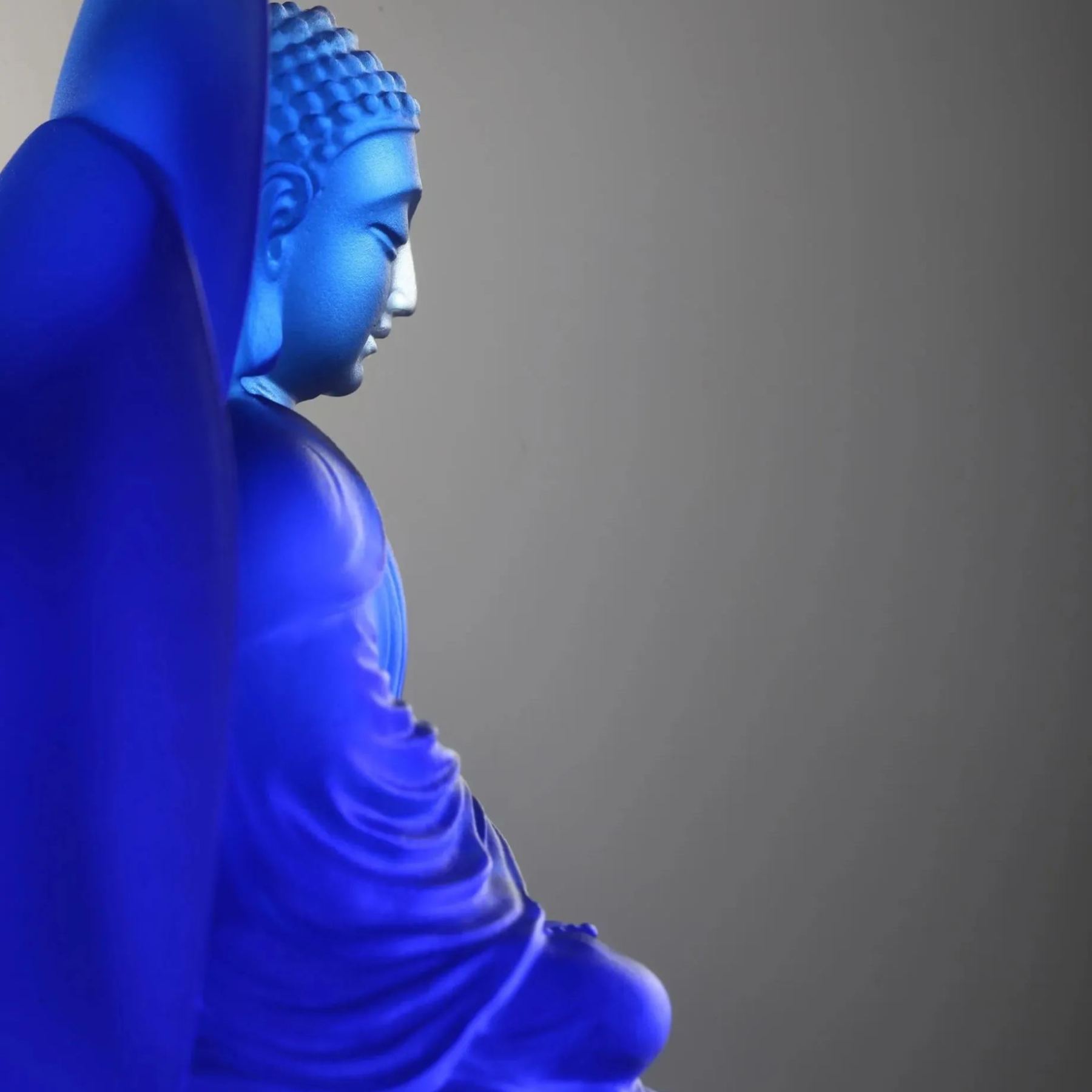 The Faithful Guardian of all Wishes 