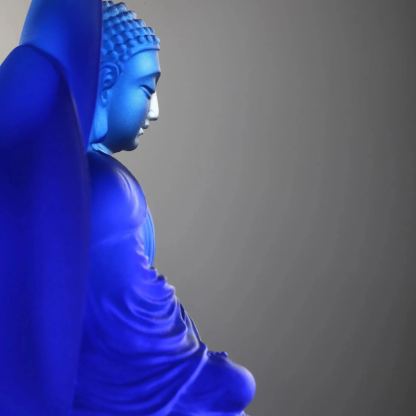 The Faithful Guardian of all Wishes 