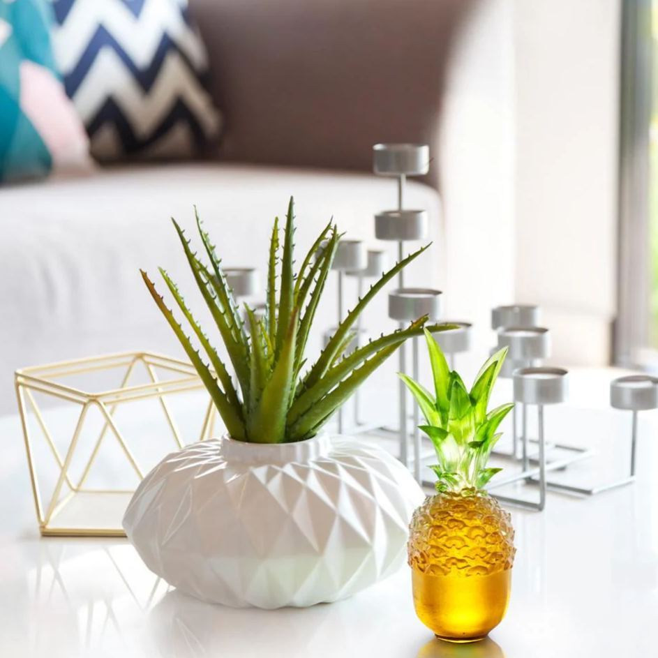 Crystal Pineapple, Flying High 