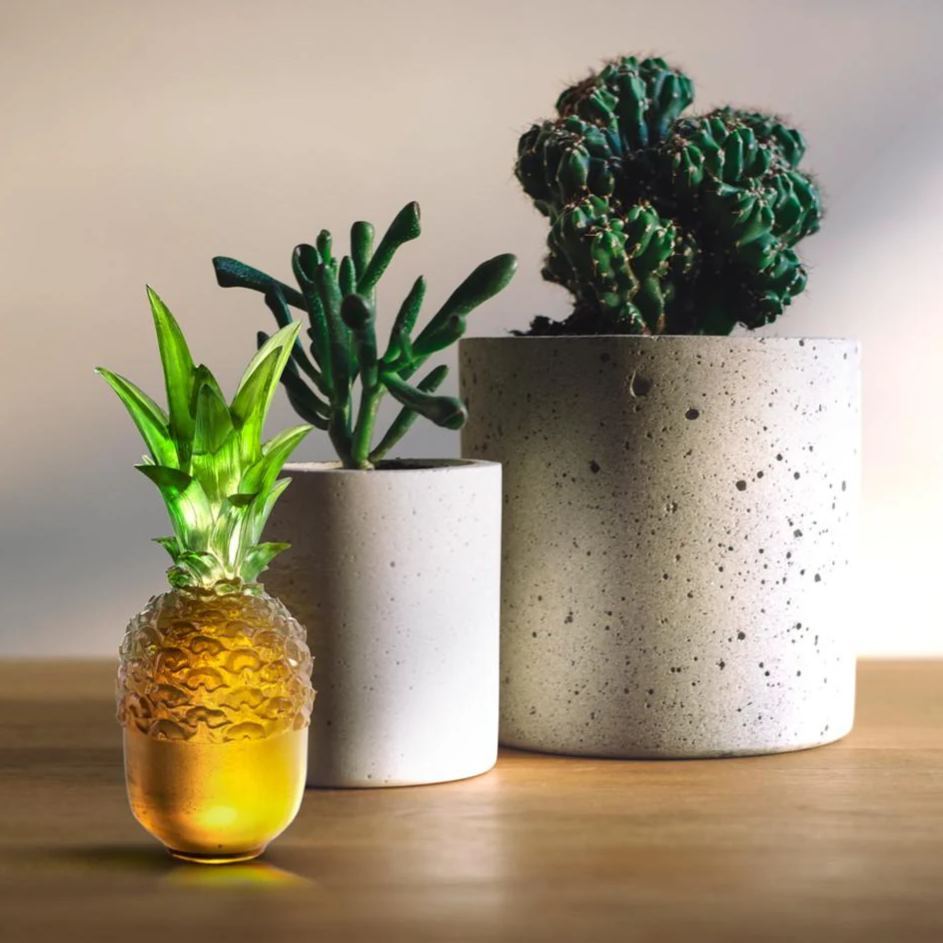 Crystal Pineapple, Flying High 