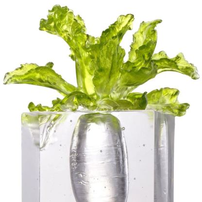 Crystal Daikon, Kitchen Decor, Tomorrow is Mine