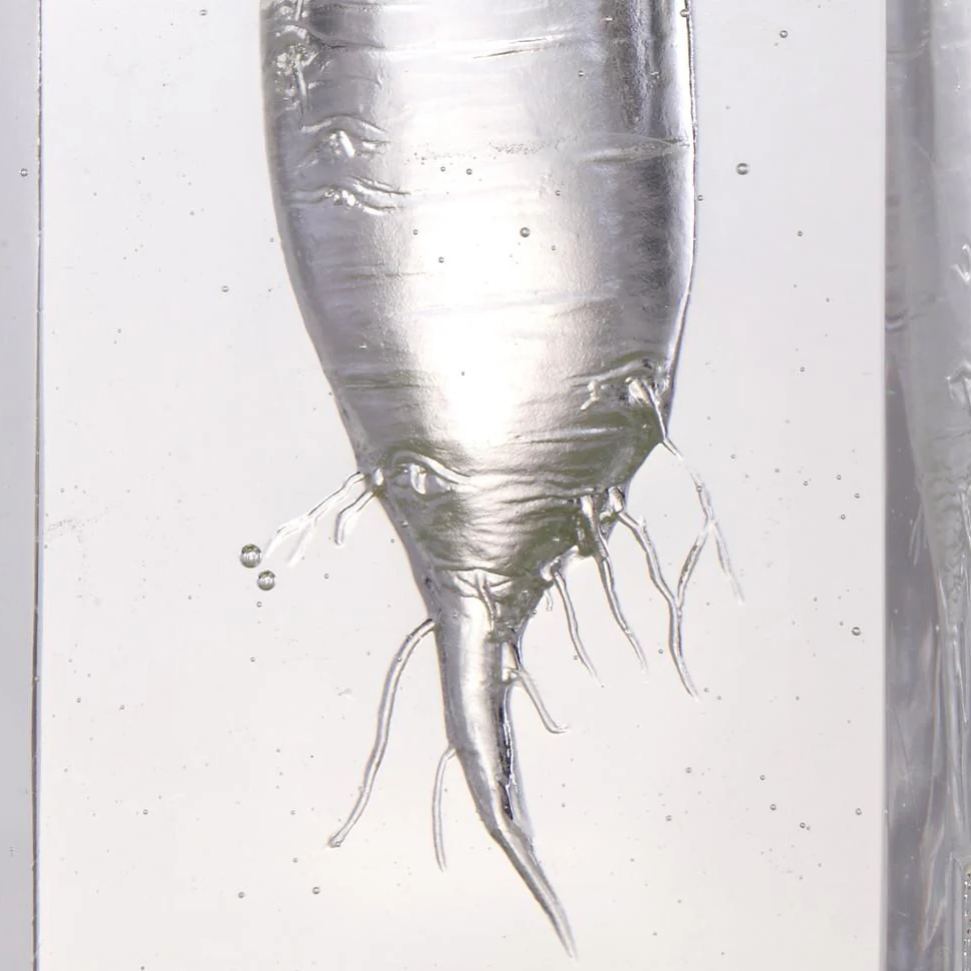 Crystal Daikon, Kitchen Decor, Tomorrow is Mine