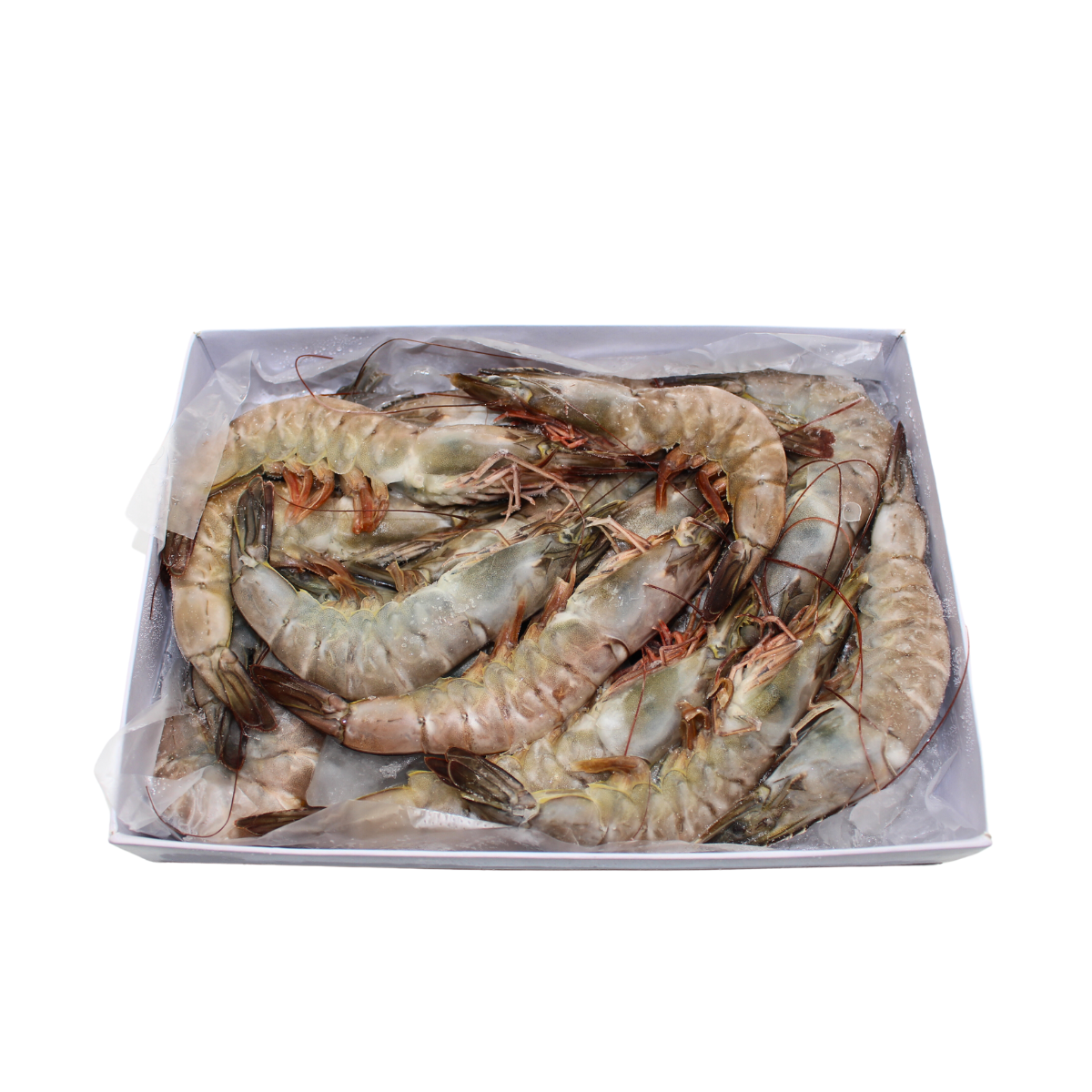 156 Emerald Live Frozen Vannamei Whole Raw Shrimp Semi IQF 翡翠冷冻生白虾 