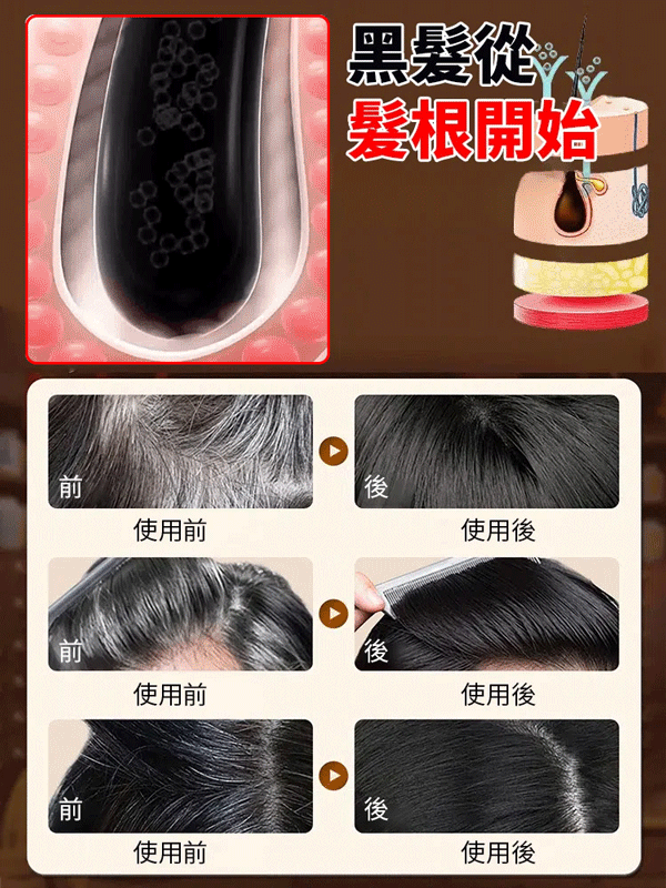 香港李時珍養黑片