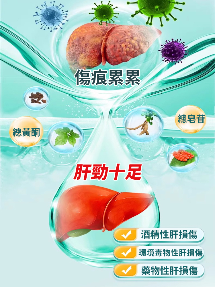 葛根靈芝絞股藍丹參膠囊