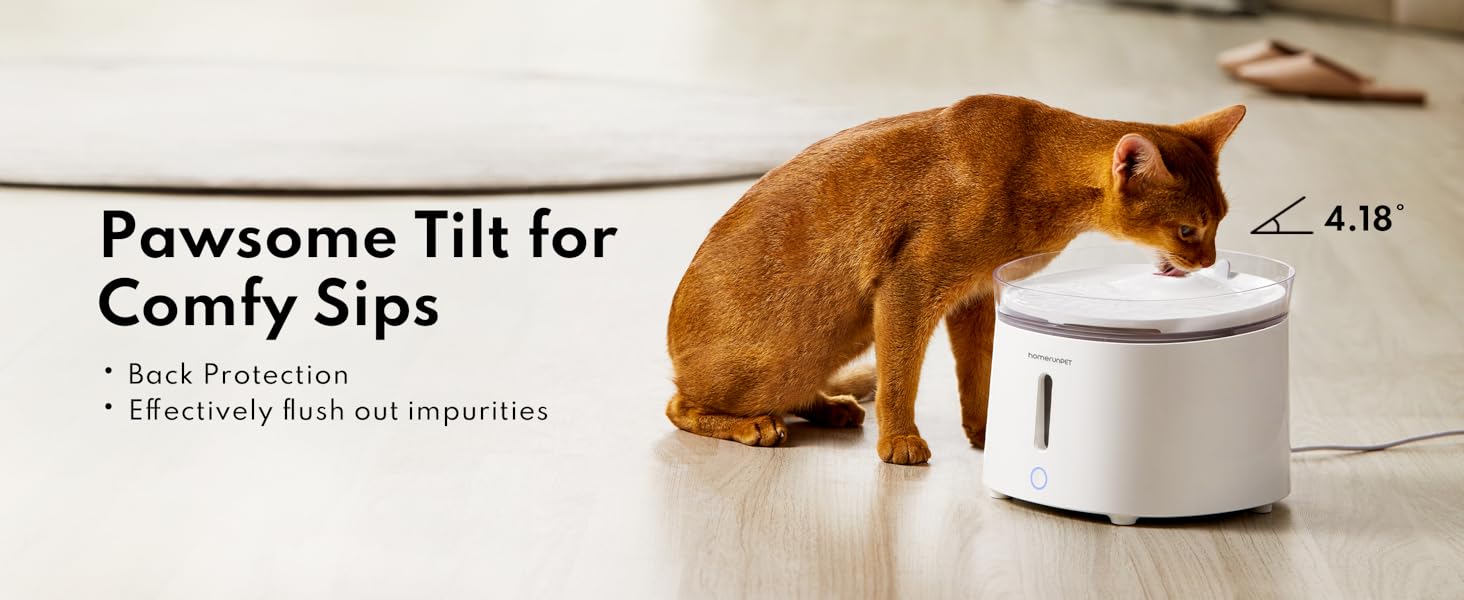 pet water fountain for cats