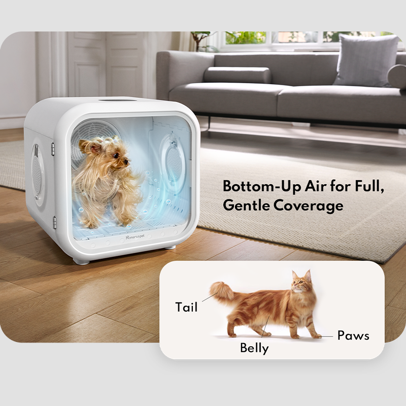 HomeRun Pet Drybo Plus Automatic Pet Dryer Box - Ultra Quiet, Smart Temperature Control, 360° Efficient for Cats and Small Dogs