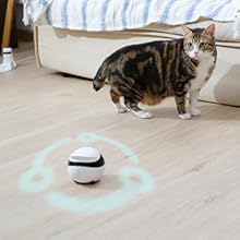 Enabot EBO Robot