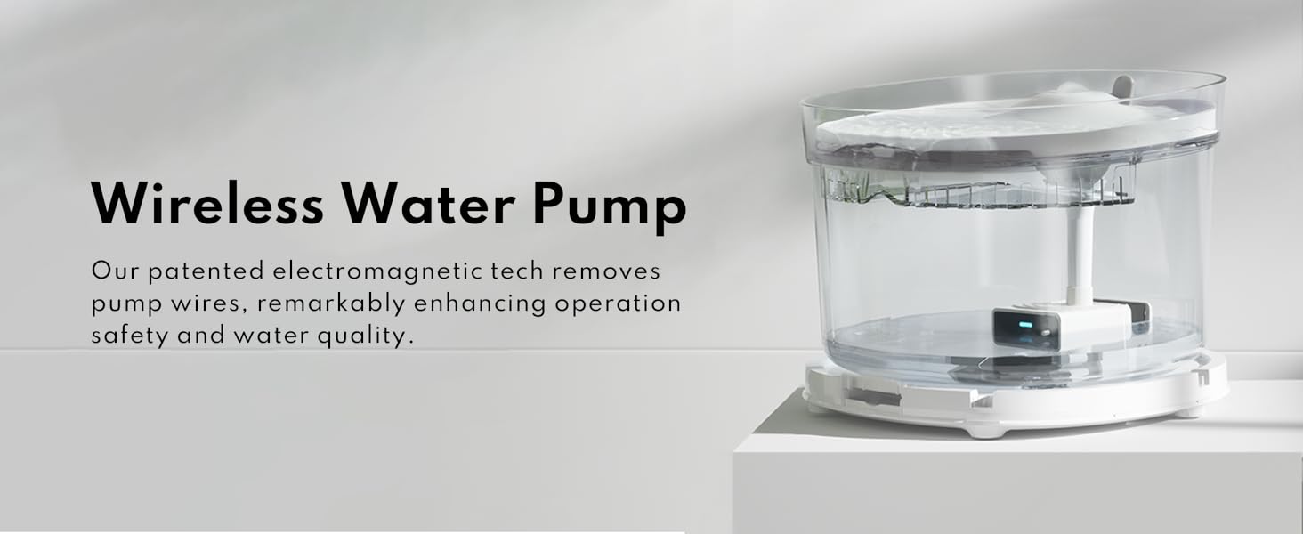 cat water fountain for cats inside