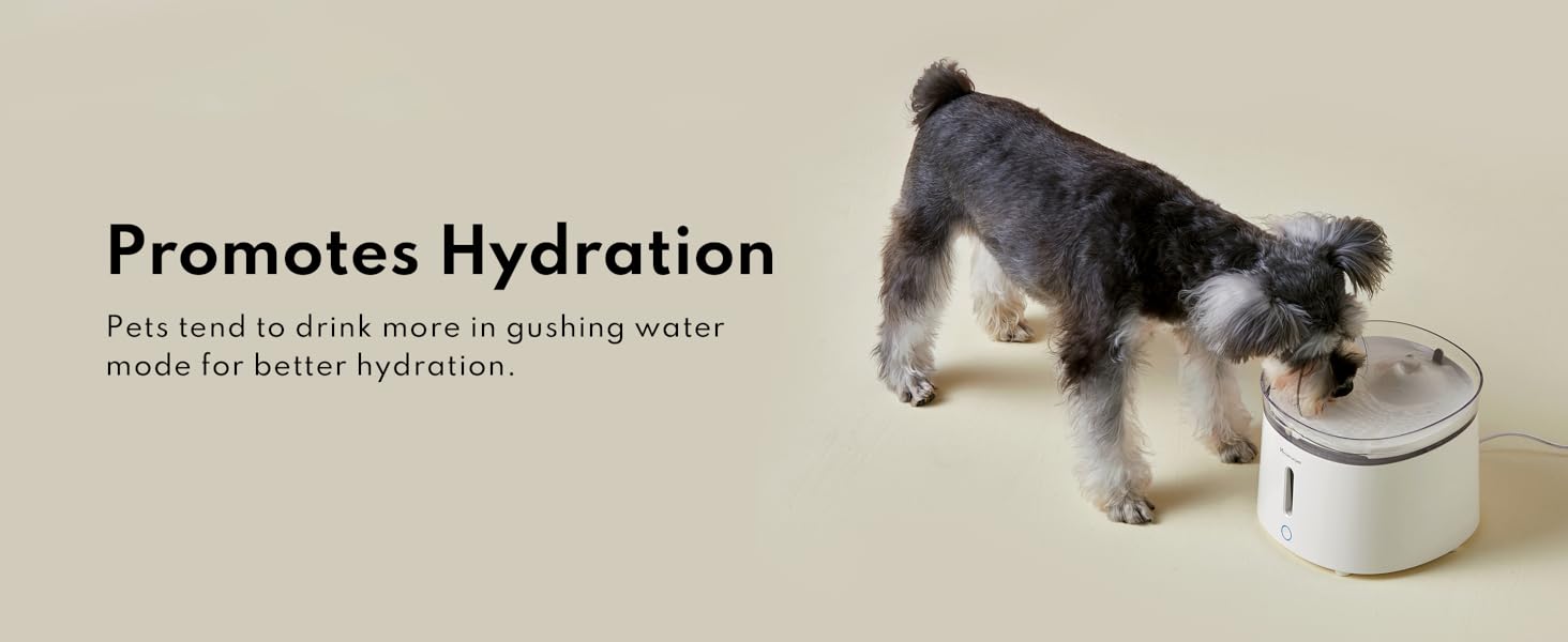 cat water dispenser