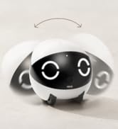 ROLA Mini
