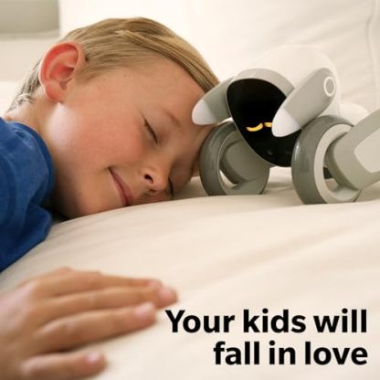 Loona: Your Adorably Intelligent Petbot - Chat GPT-4o Enabled with Voice Command & Gesture Recognition - Top Boys and Girls Gifts for 2024 - Perfect Companion for Your Son or Daughter-V20
