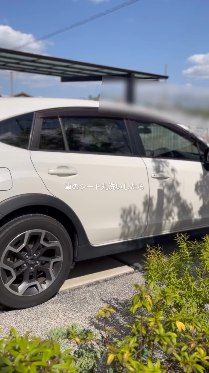 Yadea R3 カーペットクリーナー18000Pa 超強吸引力 カーペット洗浄機
