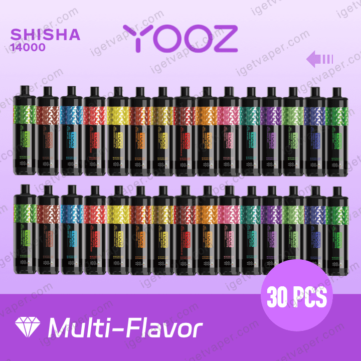 YOOZ SHISHA x 30pcs