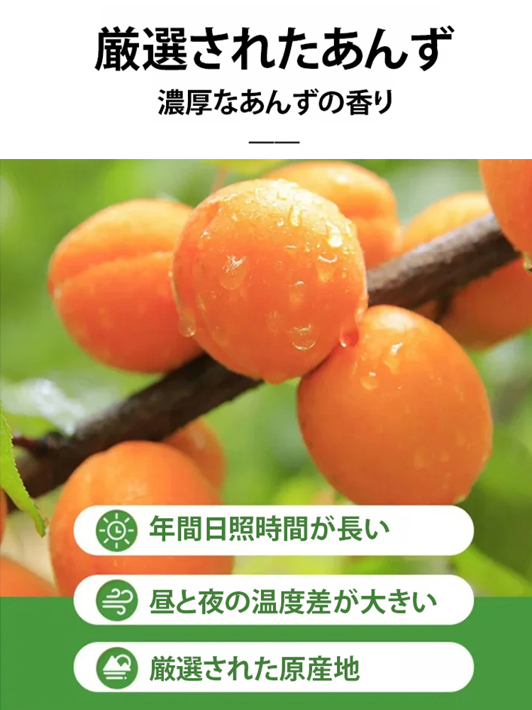 無添加種なし干しあんず