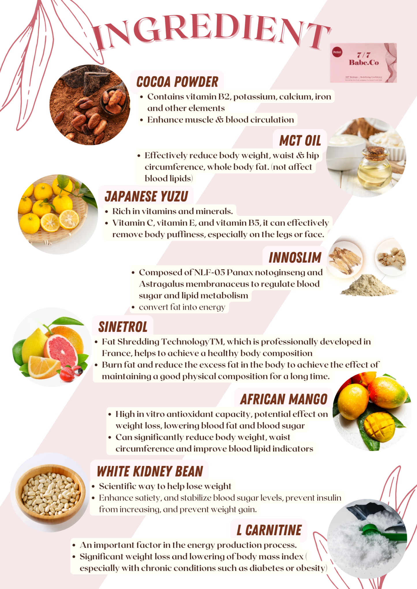 [Ready Stock]Babe.Co 7/7 Fat Remover Slimbody diet chocolate减肥瘦身巧克力🍫 轻松享瘦 几天步入快乐减肥旅程 BABECO 77