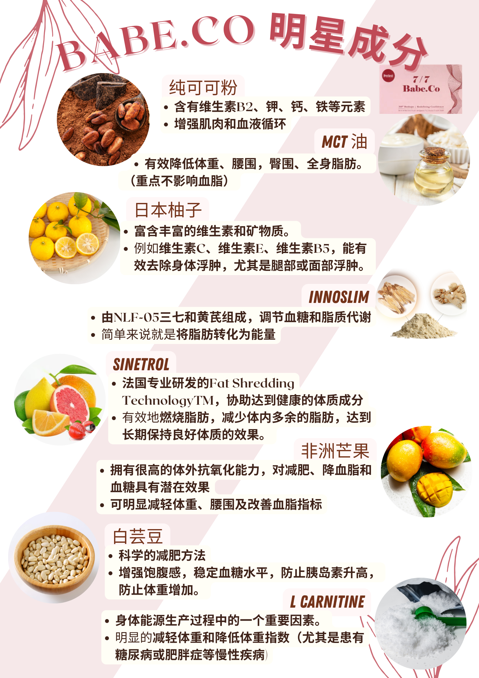 [Ready Stock]Babe.Co 7/7 Fat Remover Slimbody diet chocolate减肥瘦身巧克力🍫 轻松享瘦 几天步入快乐减肥旅程 BABECO 77