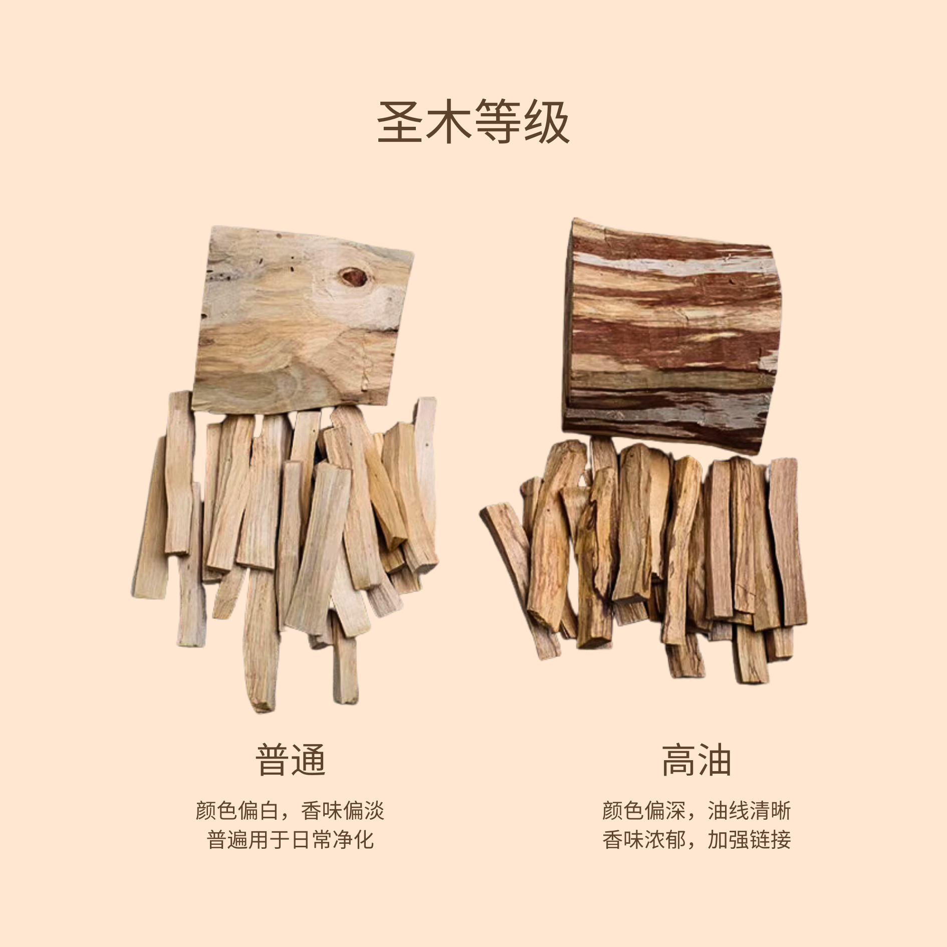 秘鲁圣木 原木切割 净化 冥想