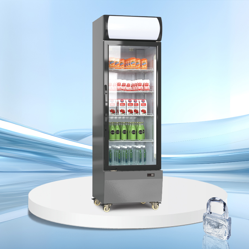 [Copy]Eco canopy upright display cooler | AGR-EC Series 