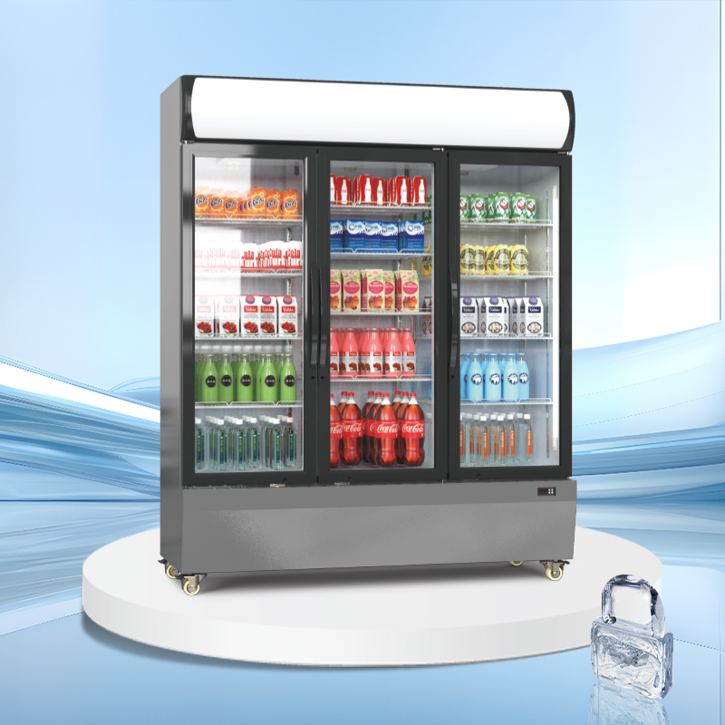[Copy]Eco canopy upright display cooler | AGR-EC Series 