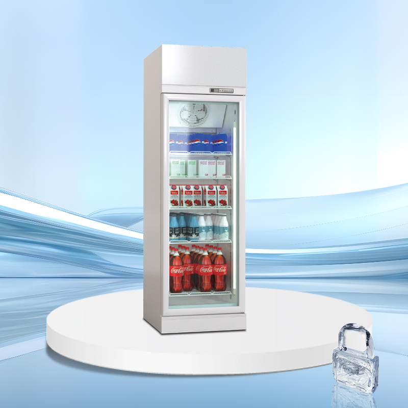 Eco canopy upright display cooler | AGR-TA Series 