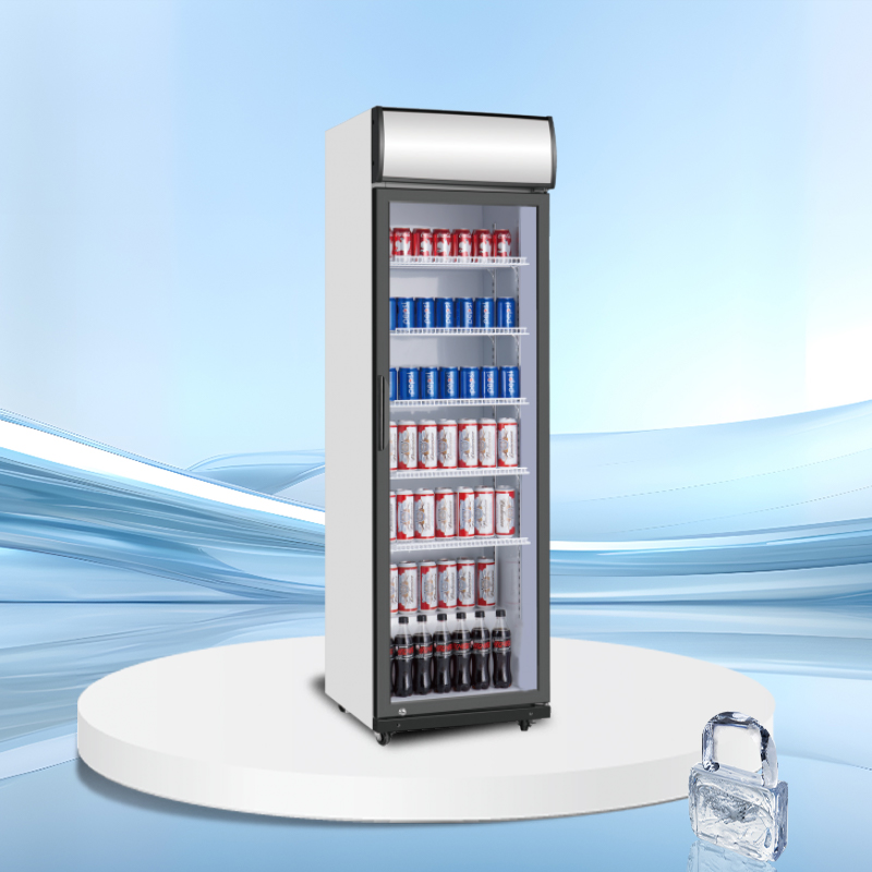 Eco canopy Upright Display Cooler | AS Series | AS