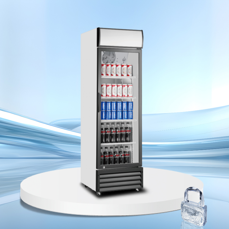 Eco canopy Upright Display Cooler | AS Series | AS