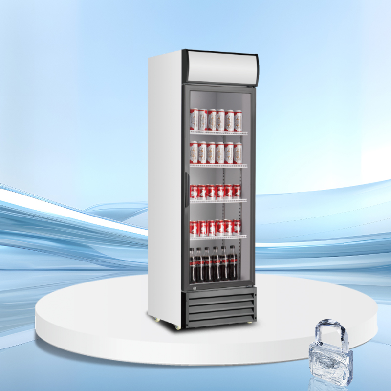 Eco canopy Upright Display Cooler | AS Series | AS