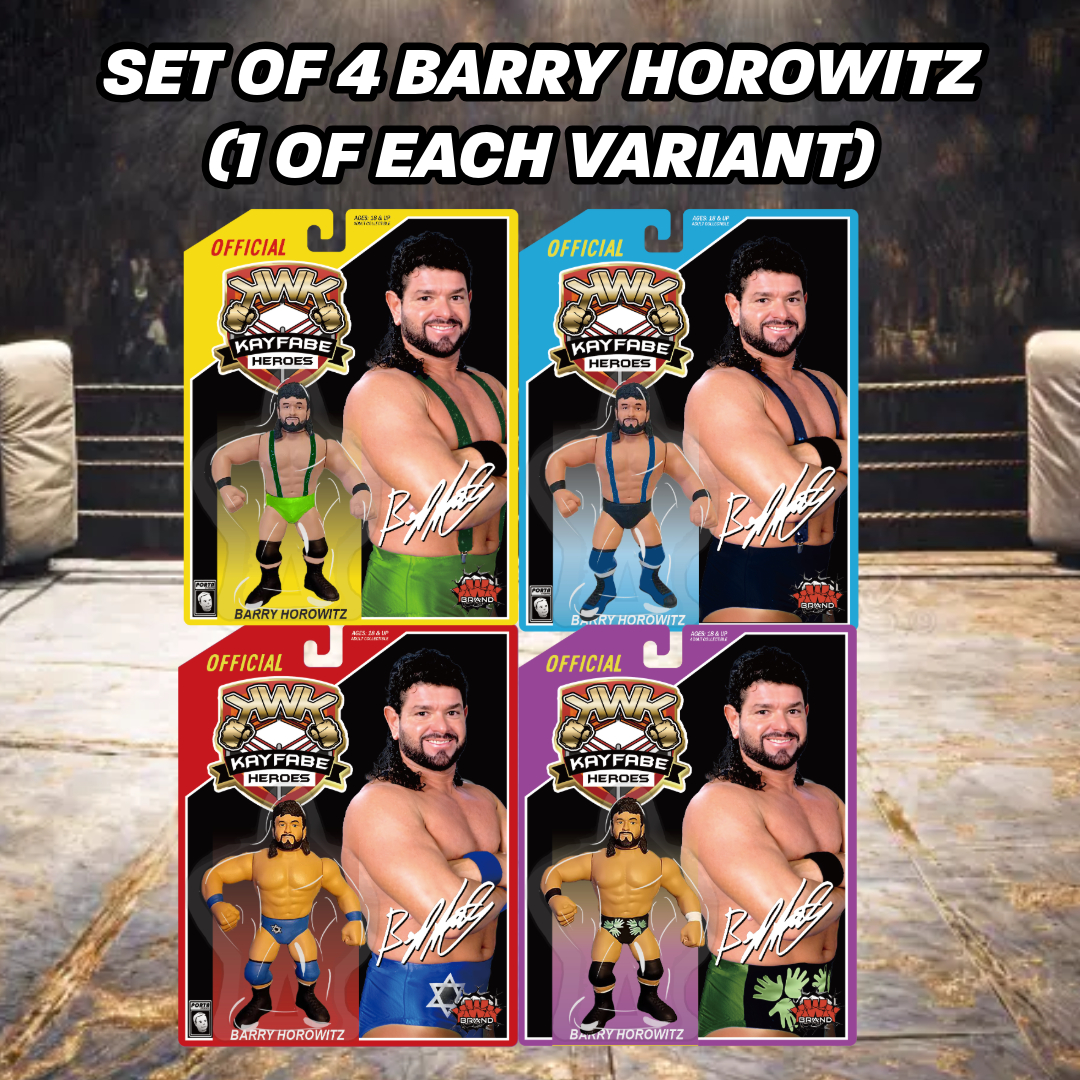 PRE-ORDER! All 4 Variants - KWK Kayfabe Heroes Barry Horowitz Retro Figures