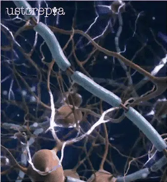 1724910017913238_12.webp