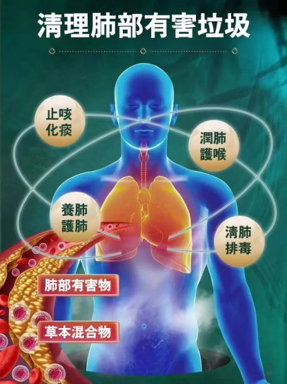 【潤肺降糖】胖大海羅漢果枇杷茶