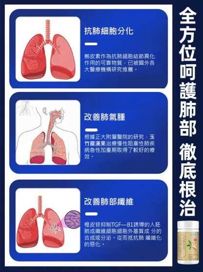 養肺清肺結人參百合玉竹羅漢果片