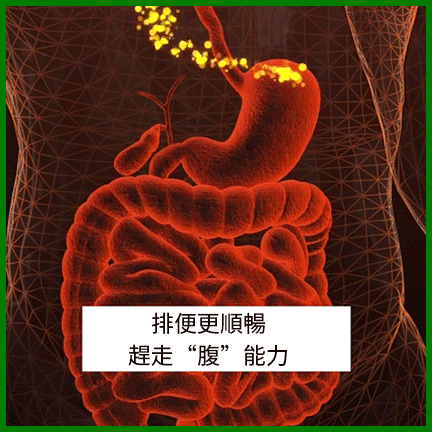 cf31a53dfcebdea8e7974c211877c9aa.gif