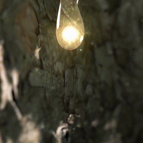 53defb6ab844749b37d7ce95c97ea0a4.gif