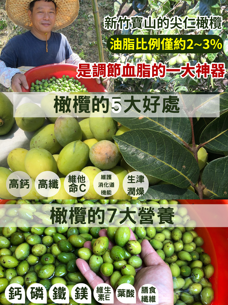 香草橄欖營養果真的好!清甜回甘,口感爽脆,吃完還有淡淡清香