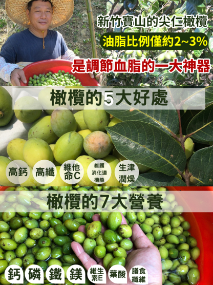 香草橄欖營養果真的好！清甜回甘，口感爽脆，吃完還有淡淡清香