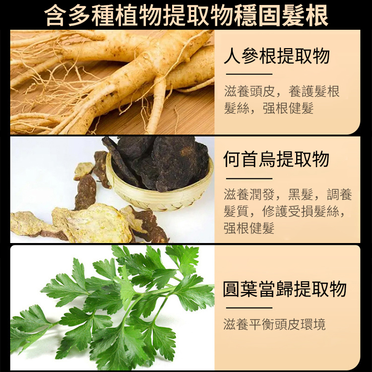 何首烏防脫髮洗黑育髮洗髮乳（植物滋潤型）